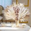 109pcs Natural Dried Pampa Grass Bouquet Large Phragmites Dried Flower Boho Home Decor Bouquet Room Holiday Wedding Party Decor