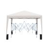 Outdoor 10x 10Ft Pop Up Gazebo Canopy Tent Removable Sidewall with Zipper,2pcs Sidewall with Windows,with 4pcs Weight sand bag,with Carry Bag