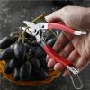 Garden Shears Hand Pruner Gardening Scissors